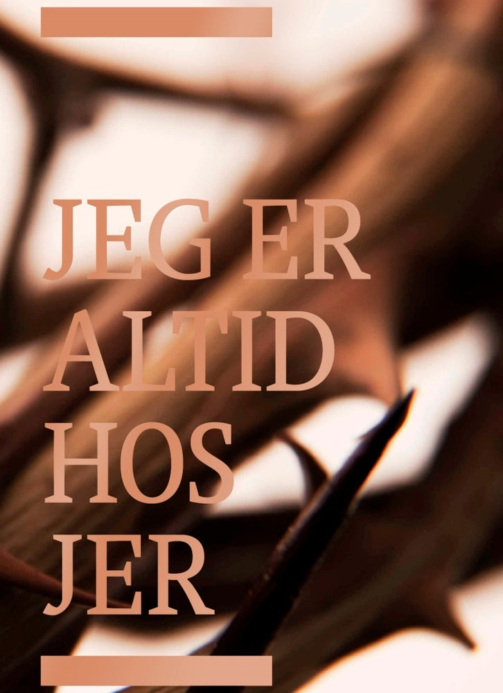 Bibelen på Hverdagsdansk, indbundet