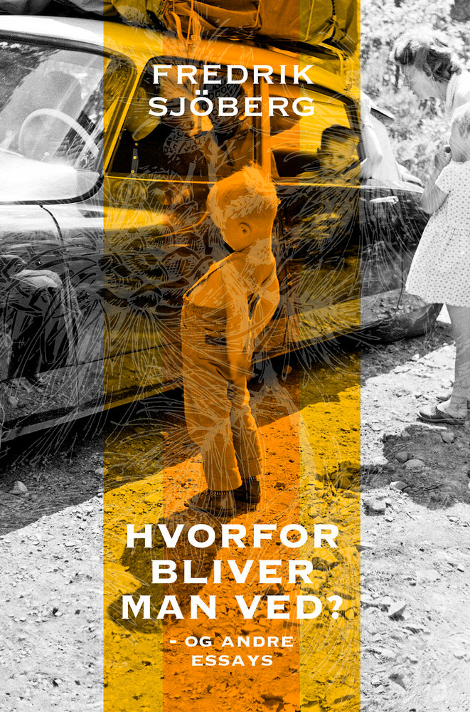 Hvorfor bliver man ved? - og andre essays