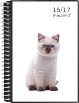LEKTIEKALENDER 16/17 M/2 KLAP UGE 4 ILLU
