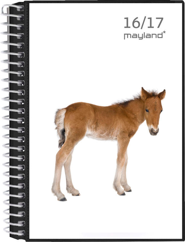 LEKTIEKALENDER 16/17 M/2 KLAP UGE 4 ILLU