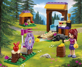 41120 LEGO FRIENDS ADVENTURE CAMP – BUESKYDNING