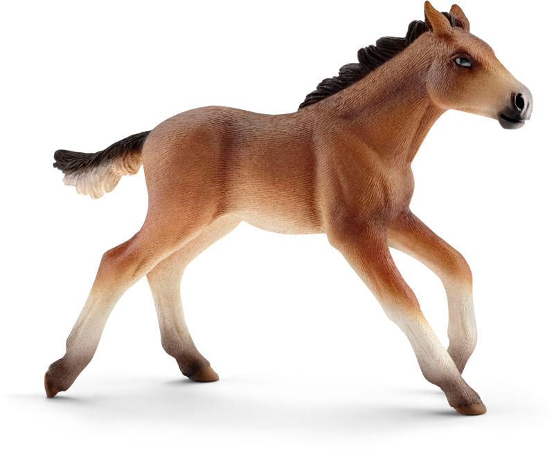 Mustang føl