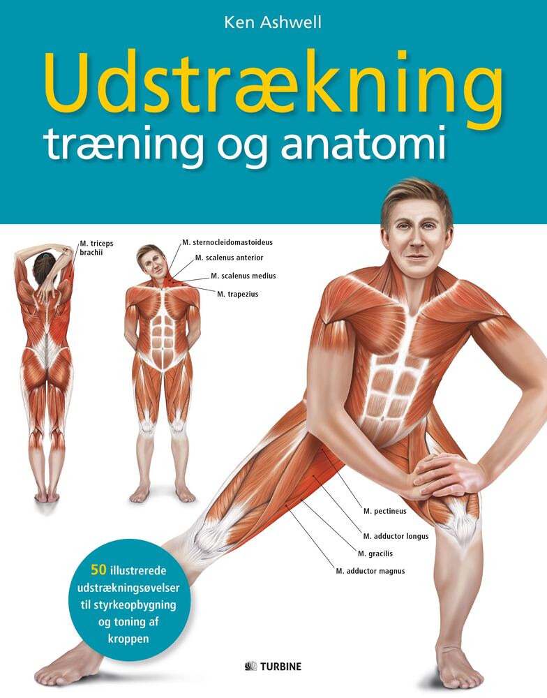 Udstrækning, træning og anatomi