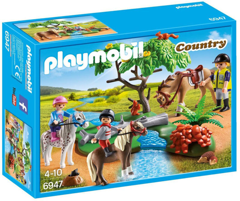 6947 RIDEUNDERVISNING PÅ PONY