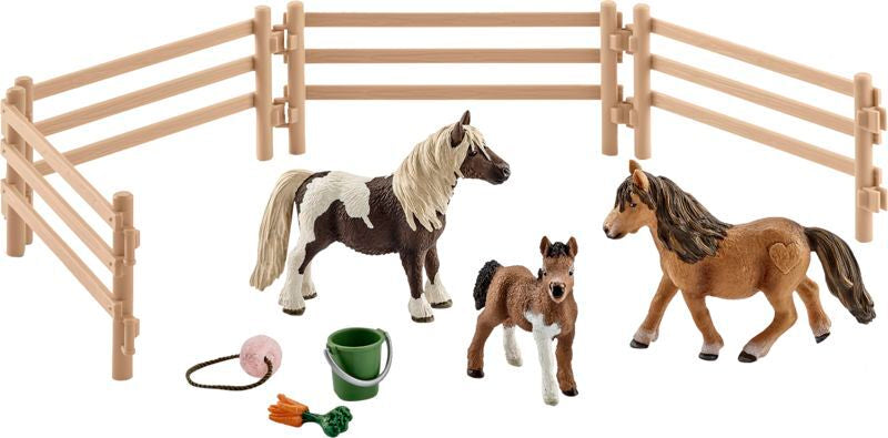 SHETLAND PONY FAMILIE