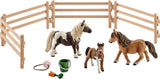 SHETLAND PONY FAMILIE