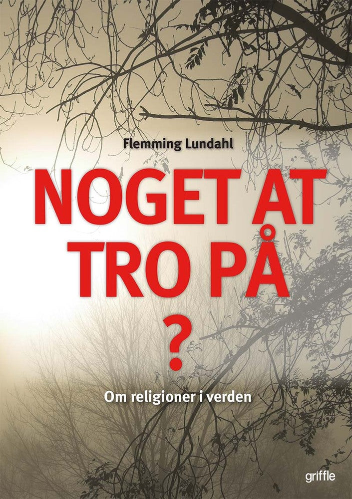 Noget at tro på?