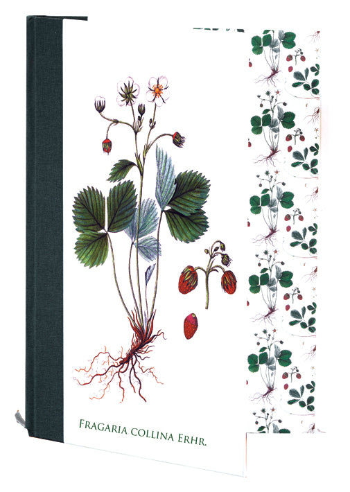 Flora Danica Notesbog
