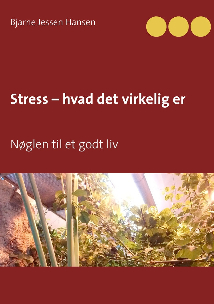 Stress - hvad det virkelig er