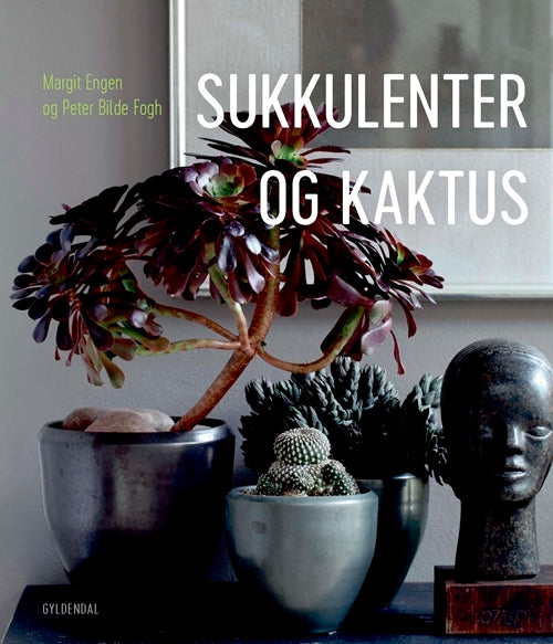 Sukkulenter og kaktus
