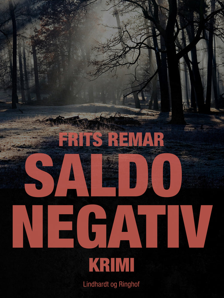 Saldo negativ