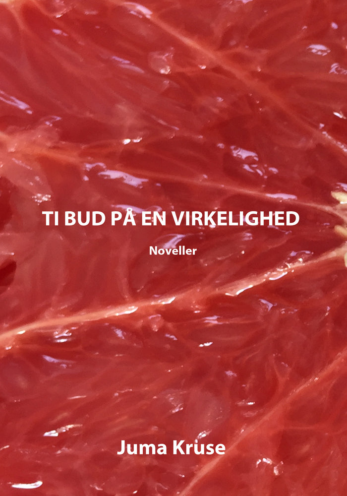 Ti bud på en virkelighed