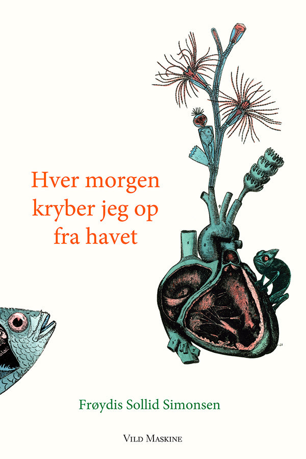 Hver morgen kryber jeg op fra havet