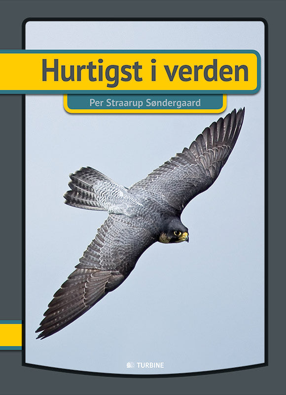 Hurtigst i verden