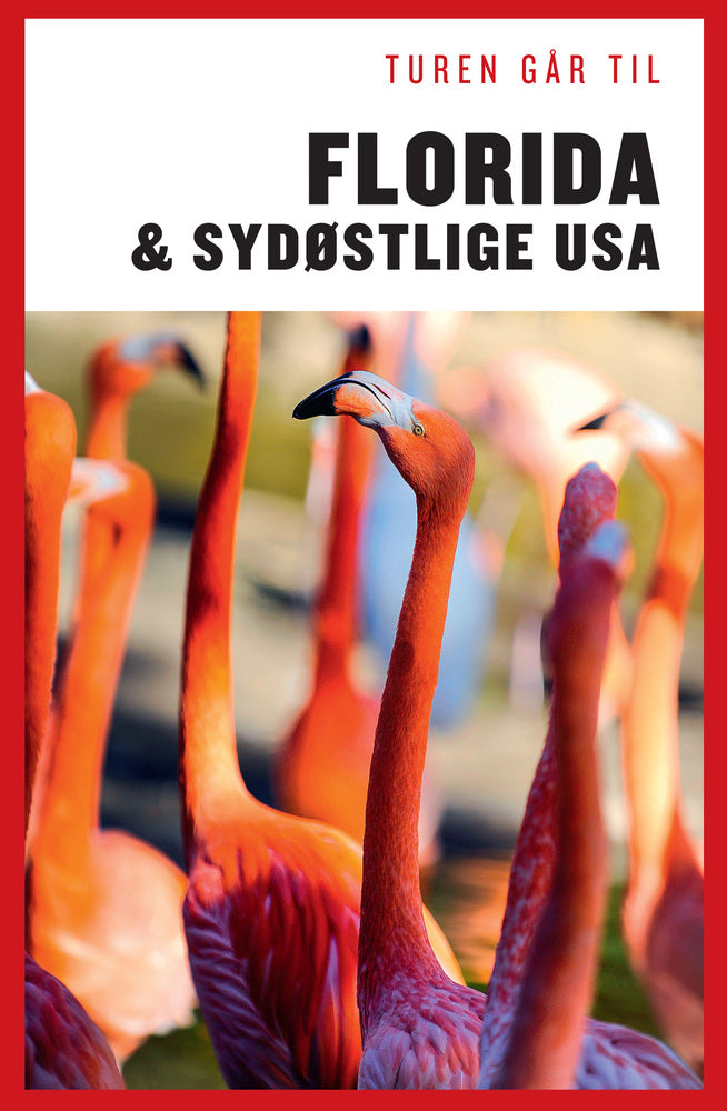 Turen går til Florida & Det sydøstlige USA