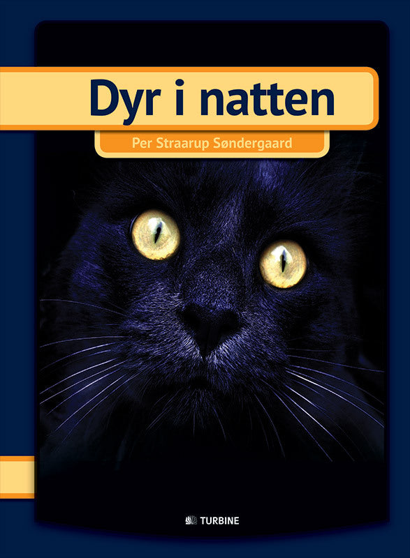 Dyr i natten