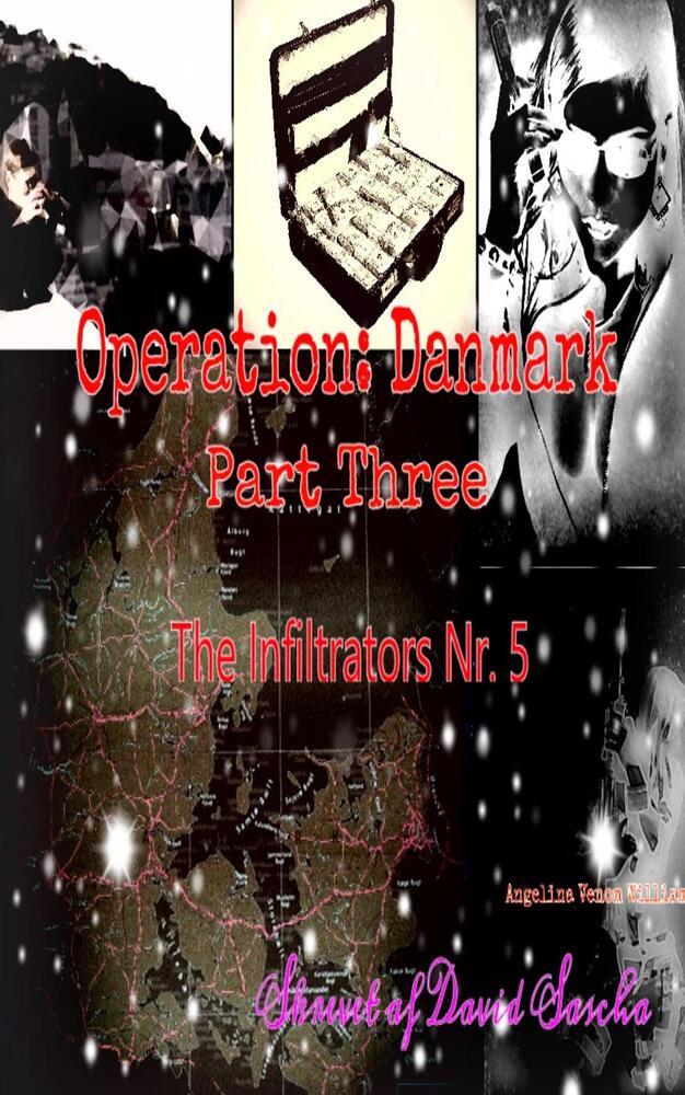 Operation Danmark Part Three