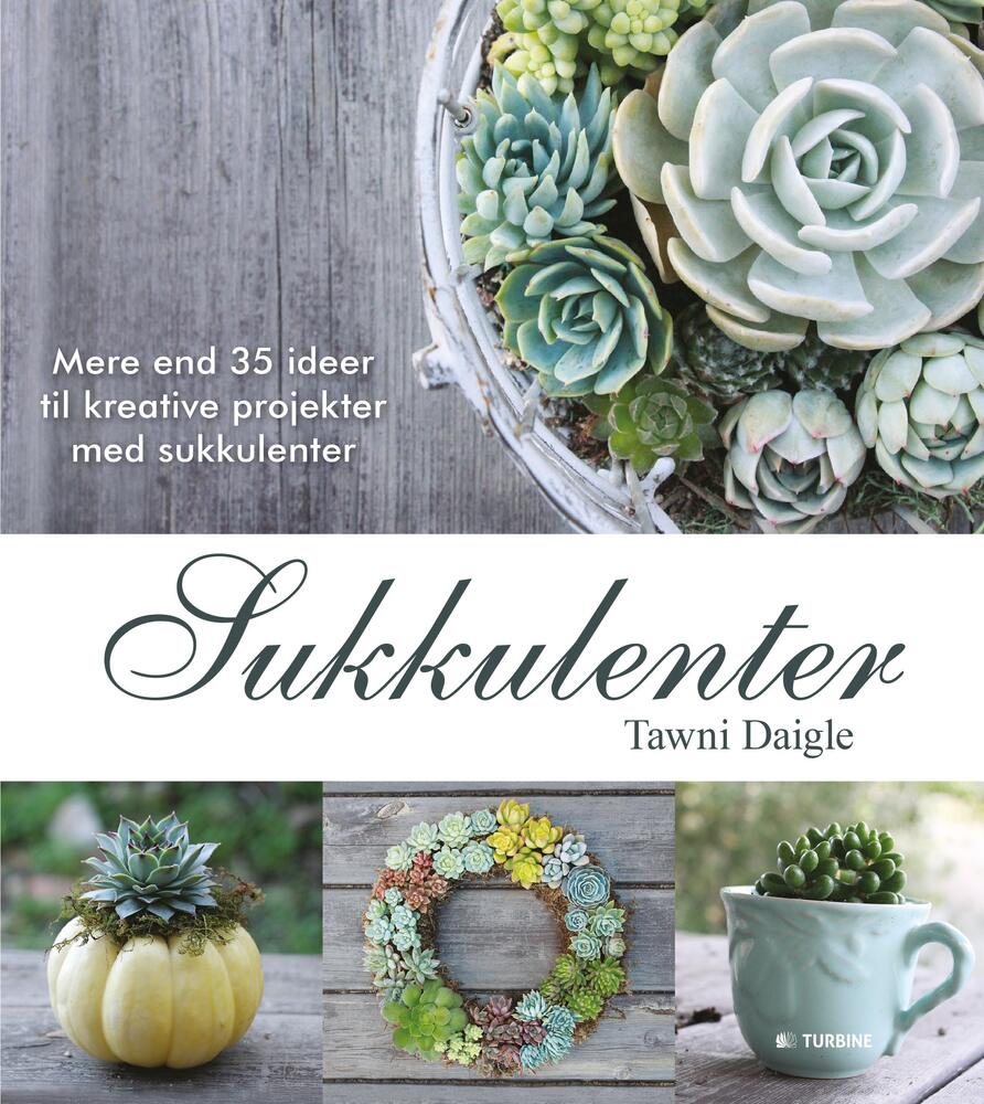 Sukkulenter