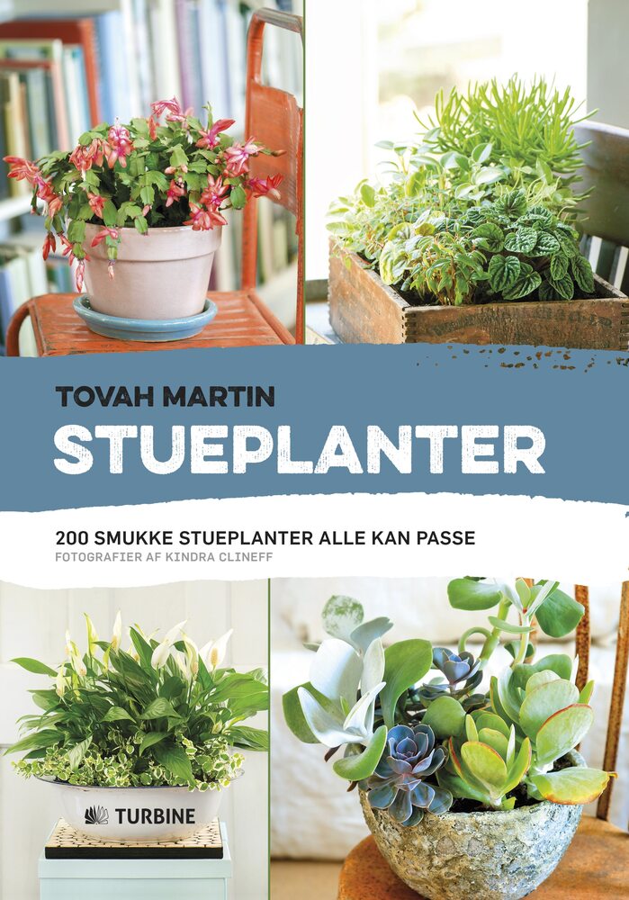 Stueplanter