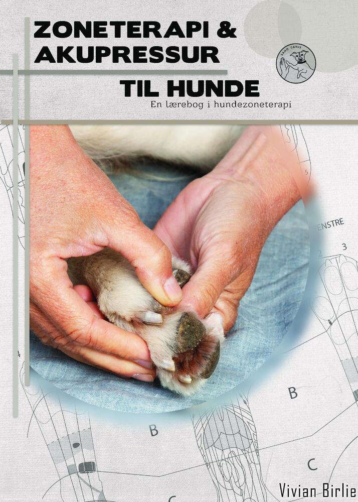 Zoneterapi og akupressur til hunde