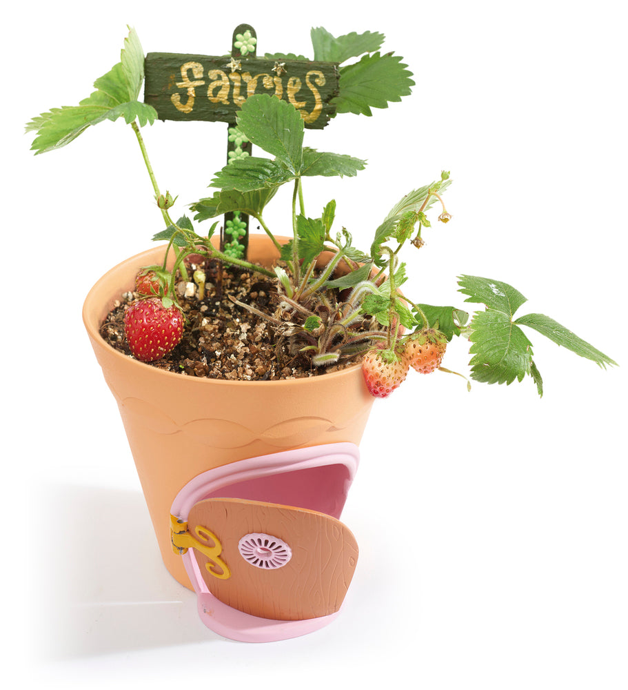 MY FAIRY GARDEN POTTESKJULER