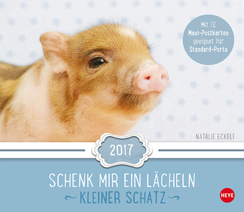 Kleiner Schatz Maxi Postkortkalender 2017