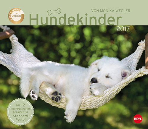 Hundekinder Maxi Postkortkalender 2017