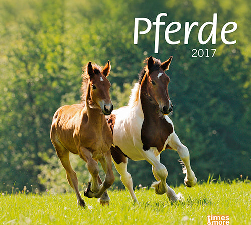 Bildkalender Pferde 2017