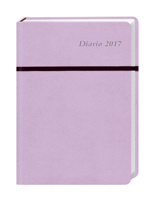Diario 17 Monatskalenderbuch  A6 pink 2017