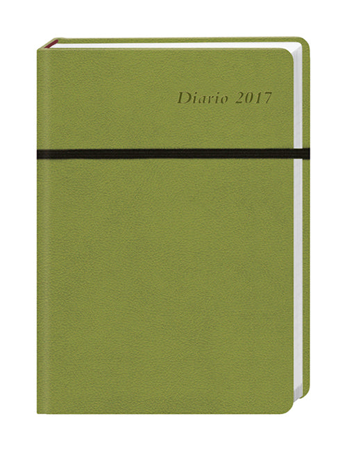 Diario klein grün 2017