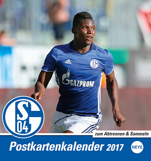 Schalke 04 Postkortkalender 2017