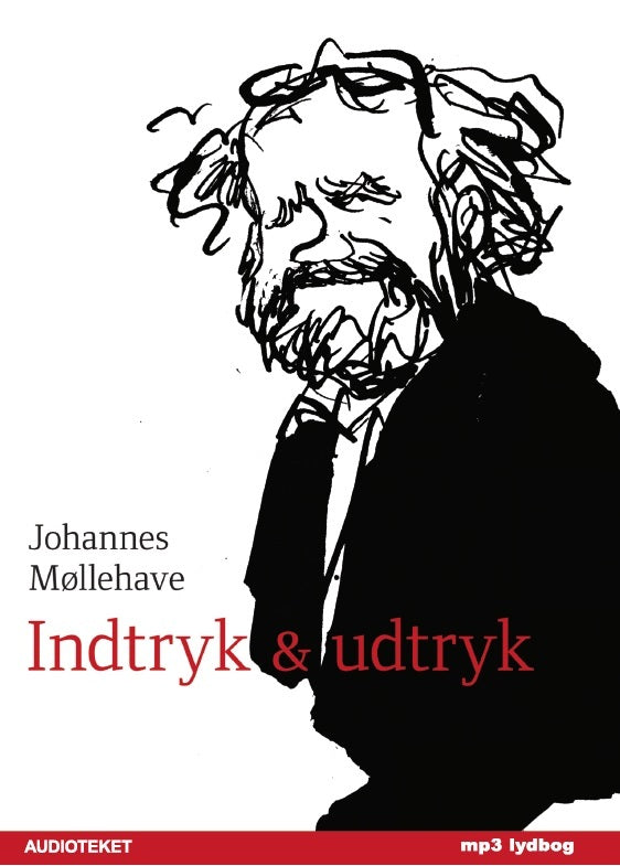 Indtryk og udtryk