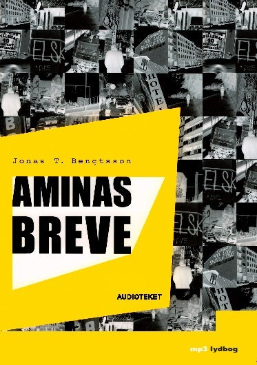 Aminas breve