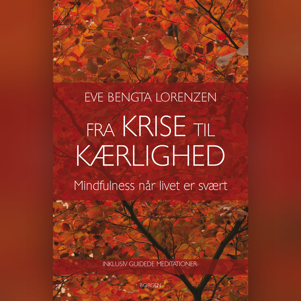 Fra krise til kærlighed