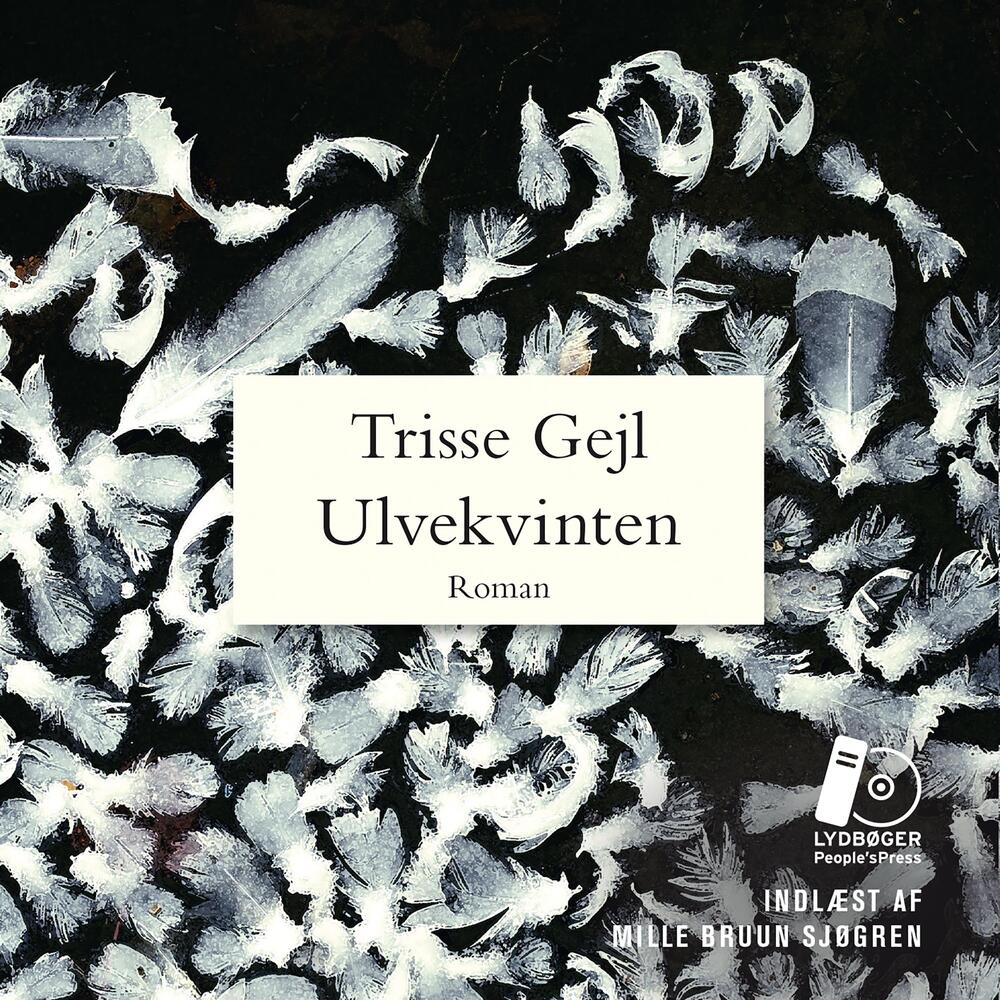 Ulvekvinten