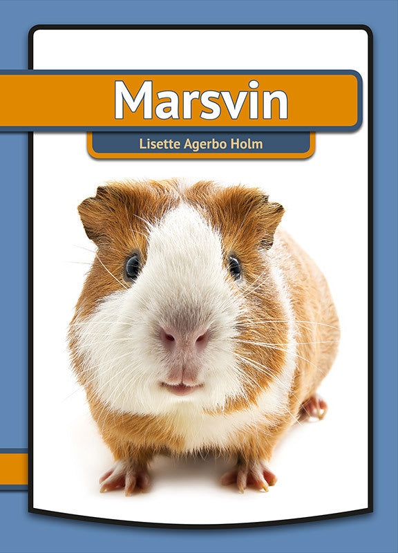 Marsvin