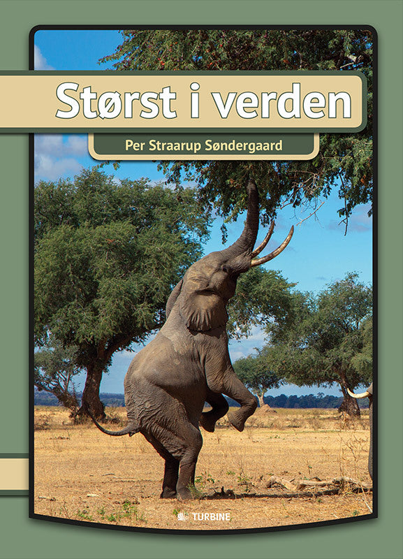 Størst i verden