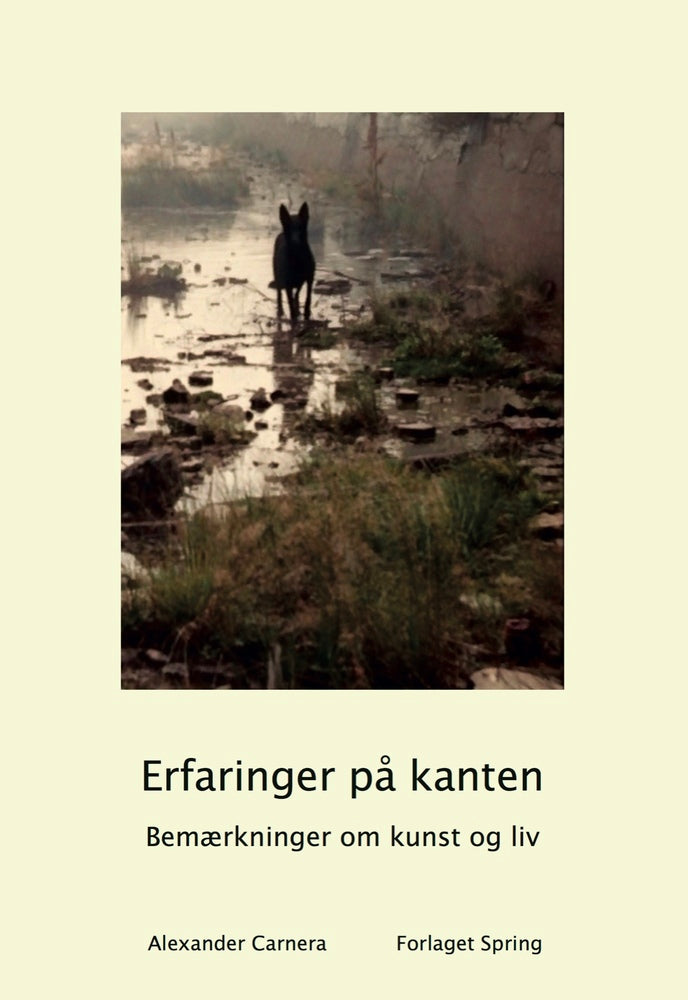 Erfaringer på kanten. Bemærkninger om liv og kunst.