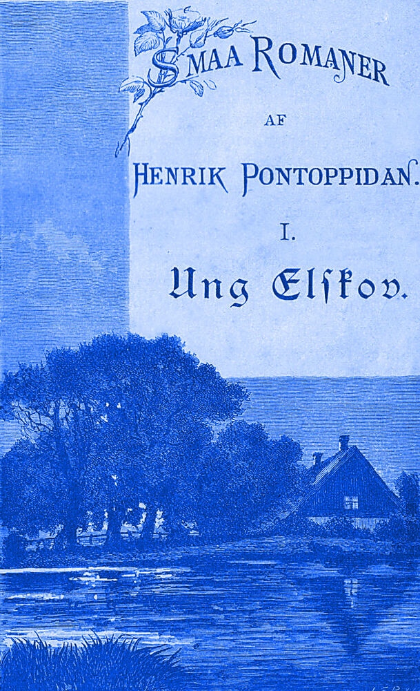 Ung elskov