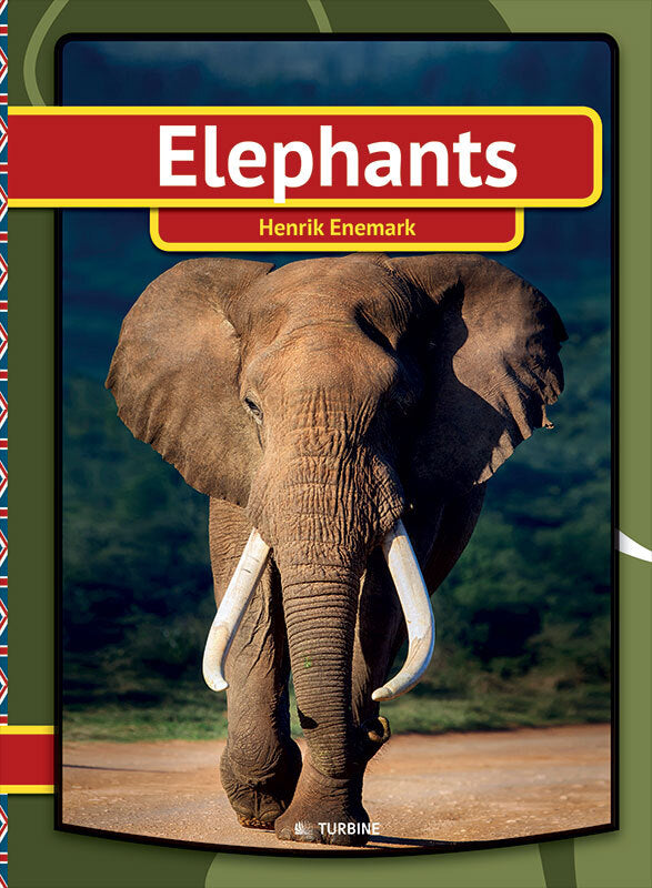 Elephants