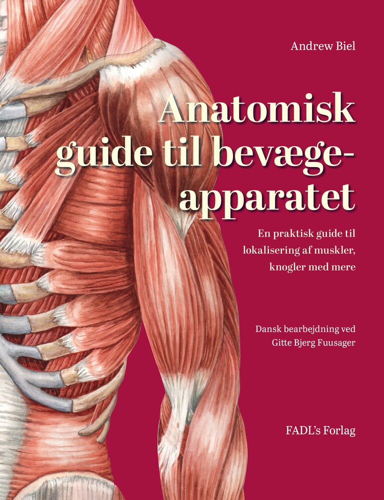Anatomisk guide til bevægeapparatet