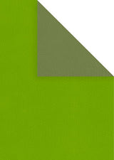 PAPIR MØRK GRØN/LIME A4 100G 20 ARK