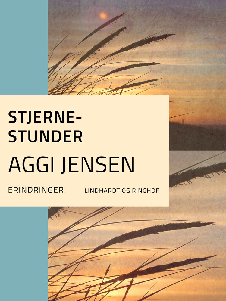 Stjernestunder