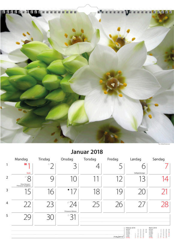 VÆGKALENDER BLOMSTER  2018 MAYLAND