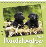 VÆGKALENDER HUNDEHVALPE  2018 MAYLAND