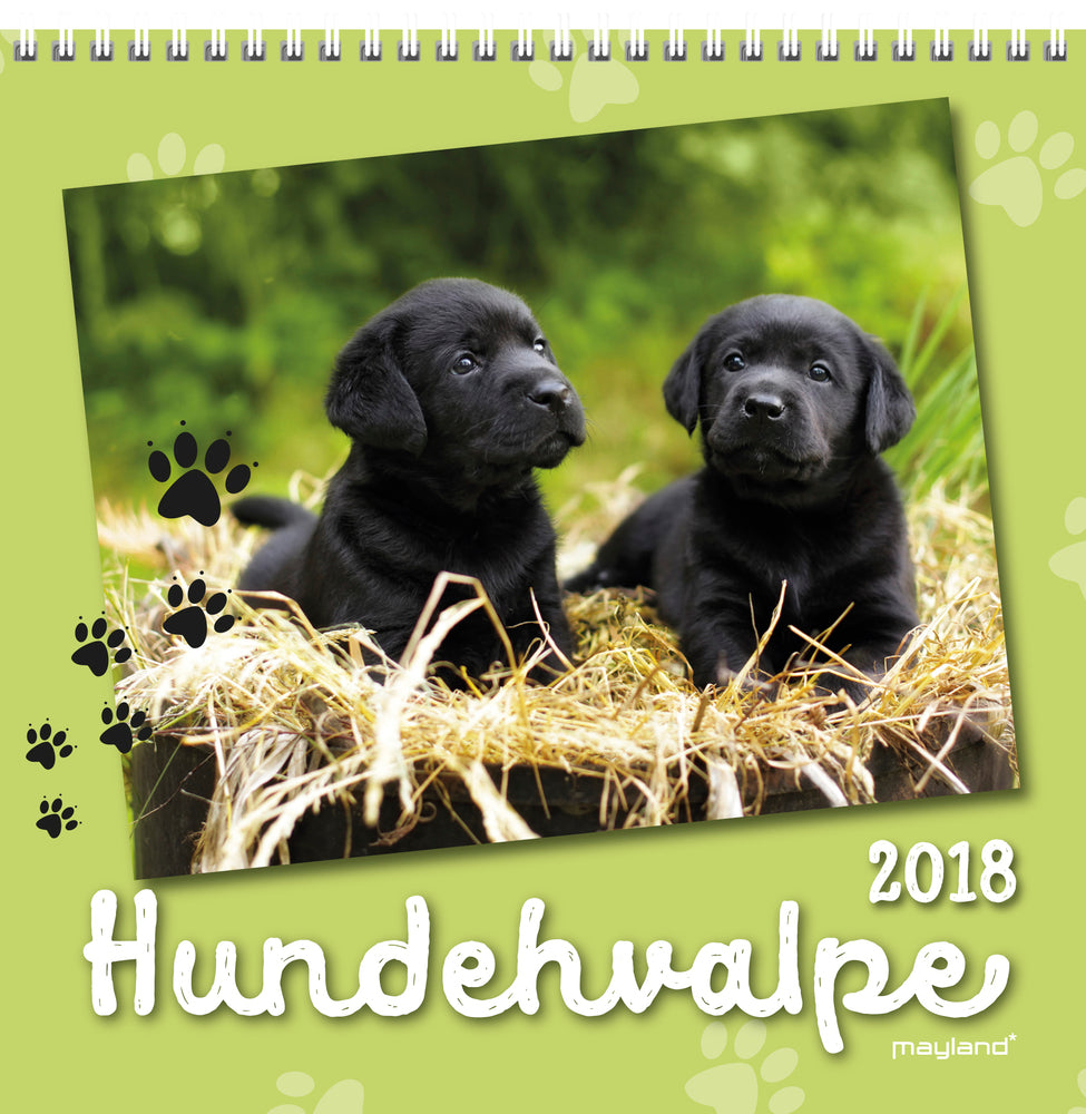 VÆGKALENDER HUNDEHVALPE  2018 MAYLAND