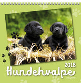 VÆGKALENDER HUNDEHVALPE  2018 MAYLAND