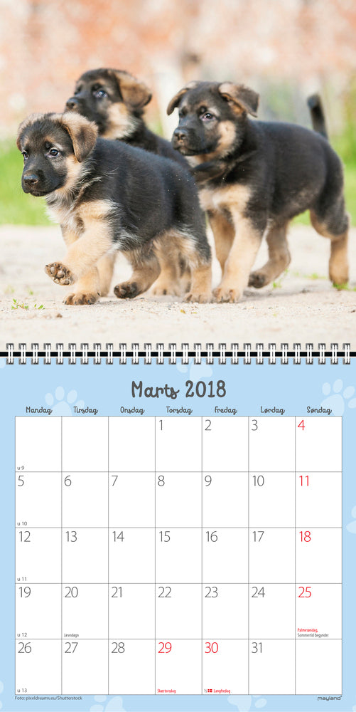 VÆGKALENDER HUNDEHVALPE  2018 MAYLAND