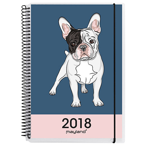 A6 UGEKALENDER SENATOR PP 4 ILLU.  2018 MAYLAND
