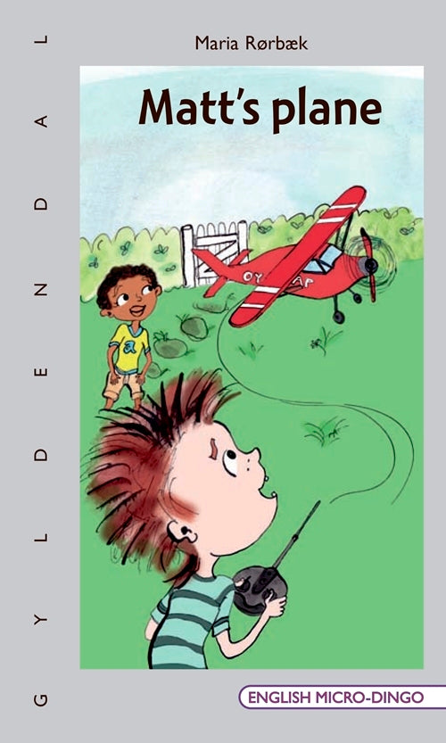 Matt's plane